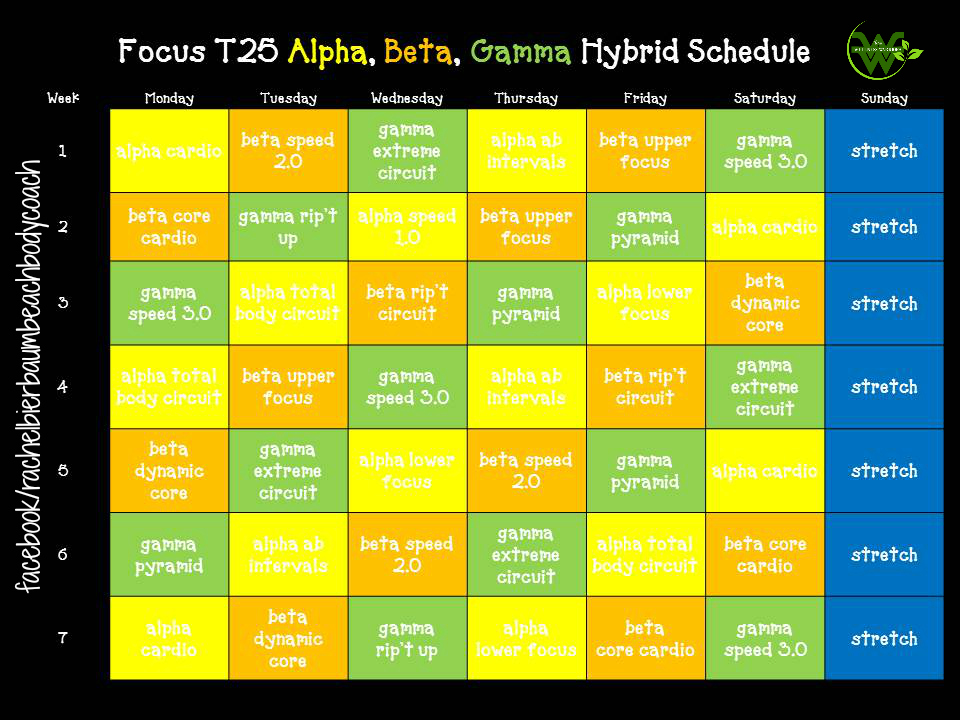 focus t25 beta schedule